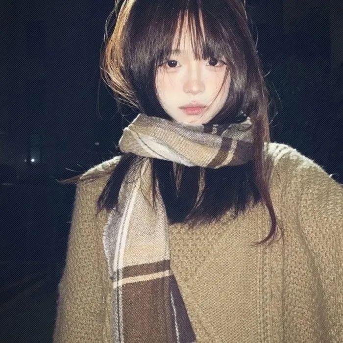 秘密使节