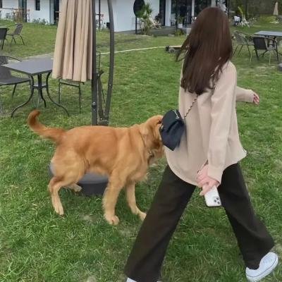 半妖倾城第一季